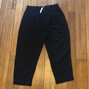 Madewell - Drapey Pleated Taper Wide-Leg Pants NWT